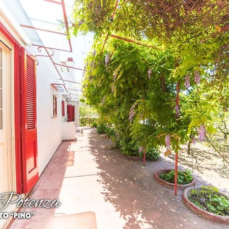 Villa Potenza غالاتوني المظهر الخارجي الصورة