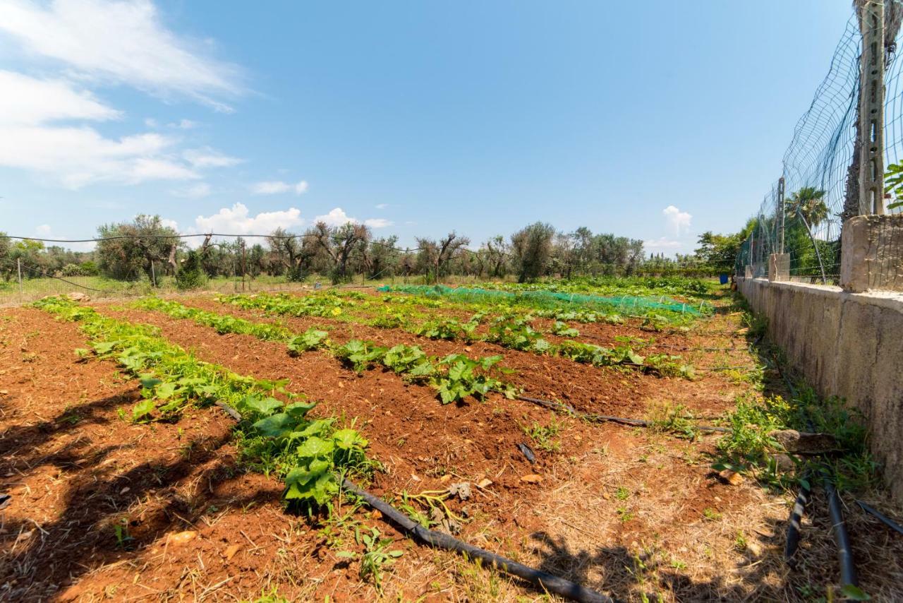 Villa Potenza غالاتوني المظهر الخارجي الصورة